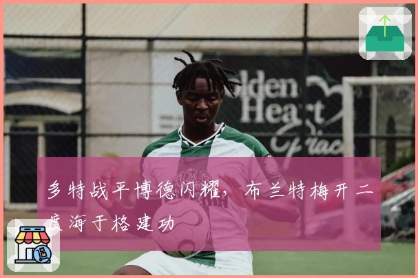多特战平博德闪耀，布兰特梅开二度海于格建功