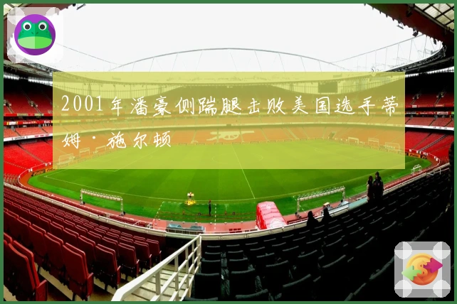 2001年潘豪侧踹腿击败美国选手蒂姆·施尔顿