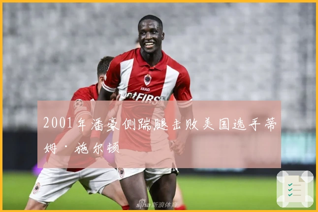 2001年潘豪侧踹腿击败美国选手蒂姆·施尔顿